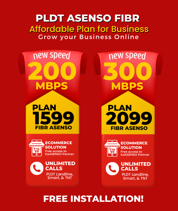 pldt fibr business plan